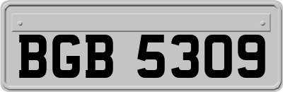 BGB5309