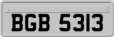 BGB5313
