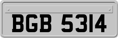 BGB5314