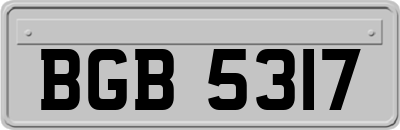 BGB5317