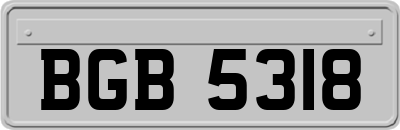 BGB5318