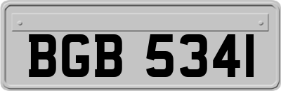 BGB5341