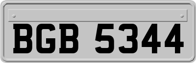BGB5344