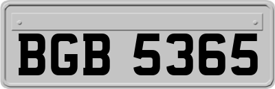 BGB5365