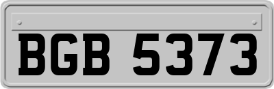 BGB5373