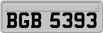 BGB5393