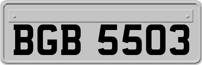 BGB5503
