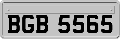 BGB5565