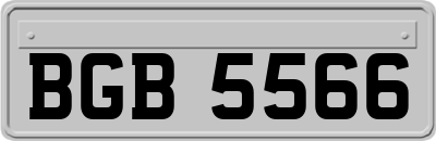 BGB5566