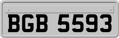 BGB5593