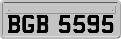 BGB5595