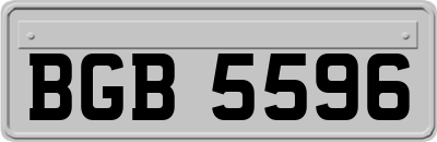 BGB5596