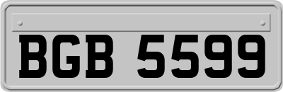 BGB5599