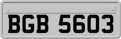 BGB5603