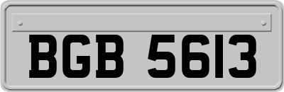 BGB5613