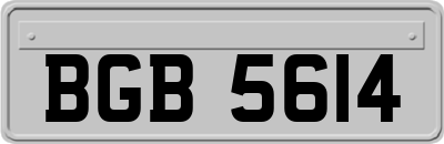 BGB5614