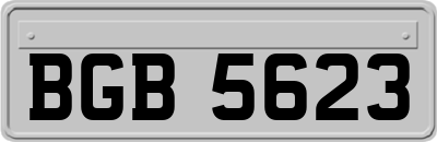 BGB5623