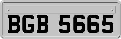 BGB5665