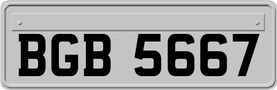 BGB5667