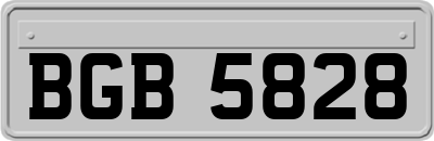 BGB5828