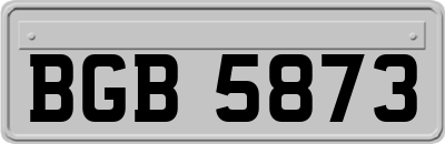 BGB5873