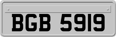 BGB5919
