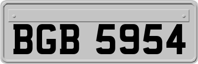 BGB5954