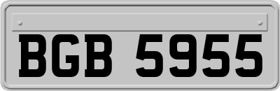 BGB5955