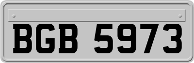 BGB5973