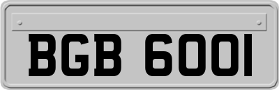 BGB6001