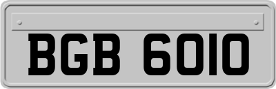 BGB6010