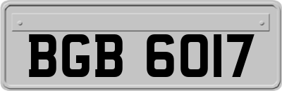 BGB6017