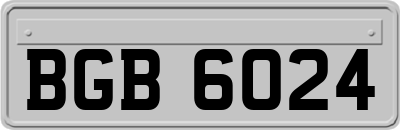 BGB6024