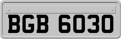 BGB6030