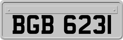 BGB6231