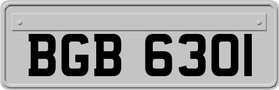 BGB6301