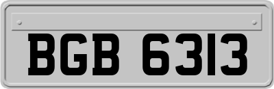 BGB6313