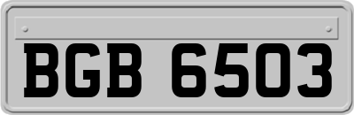 BGB6503