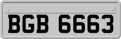 BGB6663