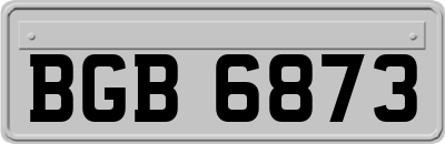 BGB6873