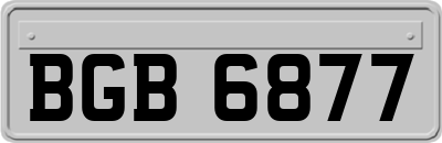 BGB6877