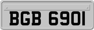 BGB6901