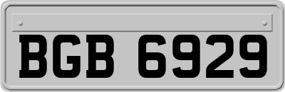 BGB6929