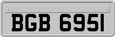 BGB6951
