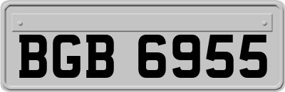 BGB6955