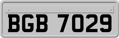 BGB7029