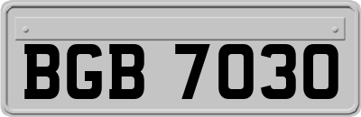 BGB7030