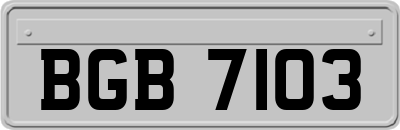 BGB7103