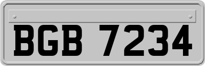 BGB7234