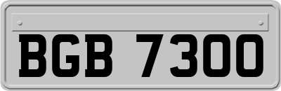 BGB7300